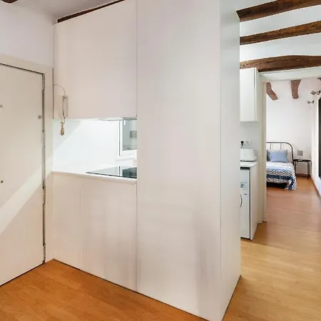 Cozy Rambla Del Raval 公寓 巴塞罗那